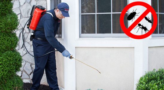 Evciler Hamam Böceği İlaçlama böcek ilaçlama ve haşere kontrolü — ilaclama-tr.com